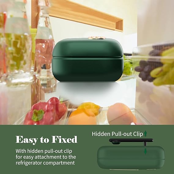 Air Purifier with Ozone Generator – Advanced Odor Eliminator